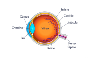especialista em retina em curitiba