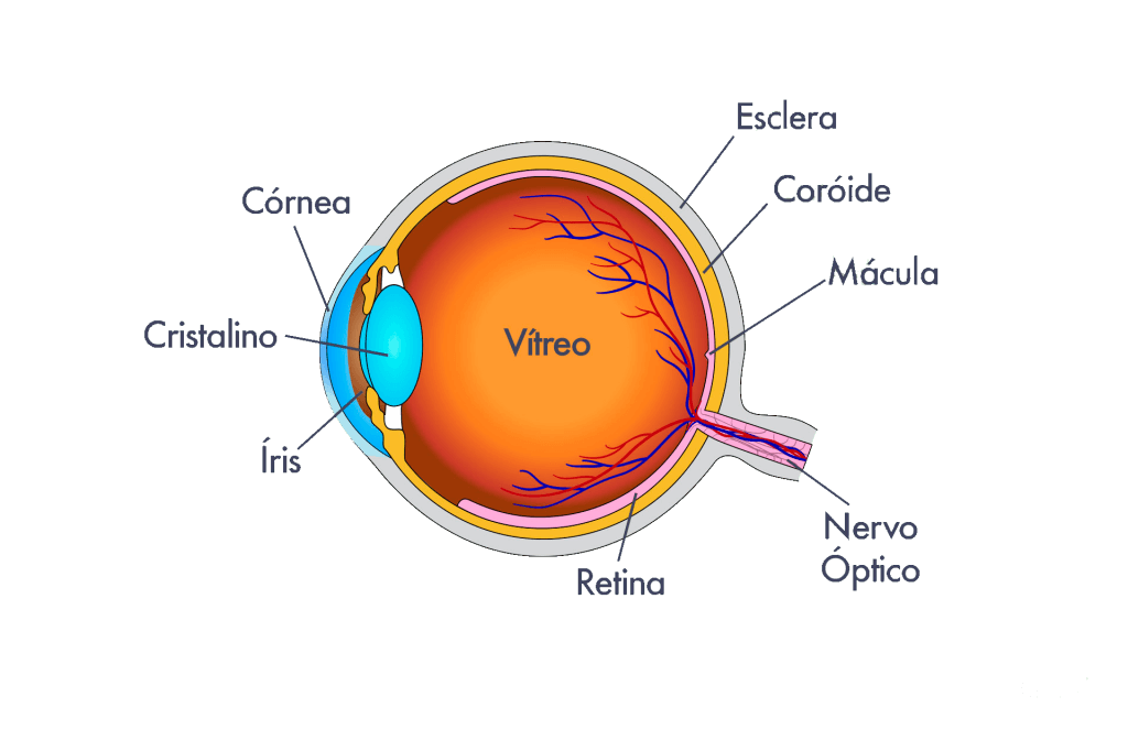 especialista em retina em curitiba