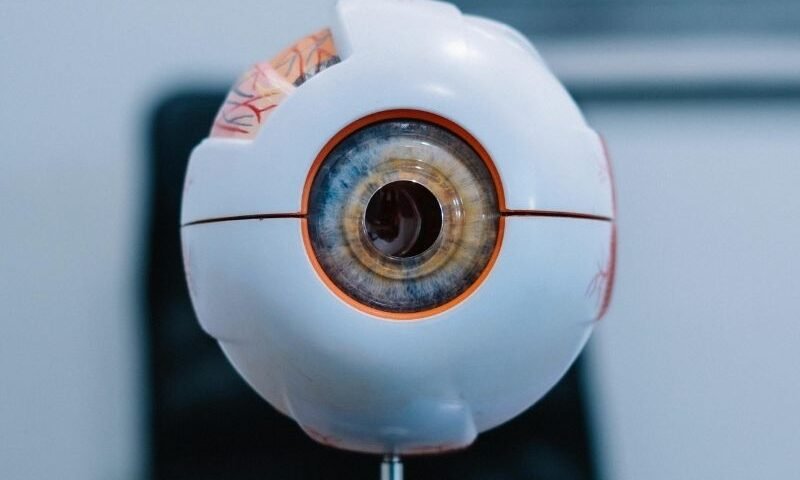 Alta Miopia e o Risco de Descolamento de Retina O que você precisa saber em Curitiba