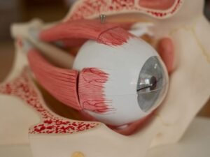 Recuperação Visual e Prognóstico O que esperar após a Cirurgia de Retina em Curitiba