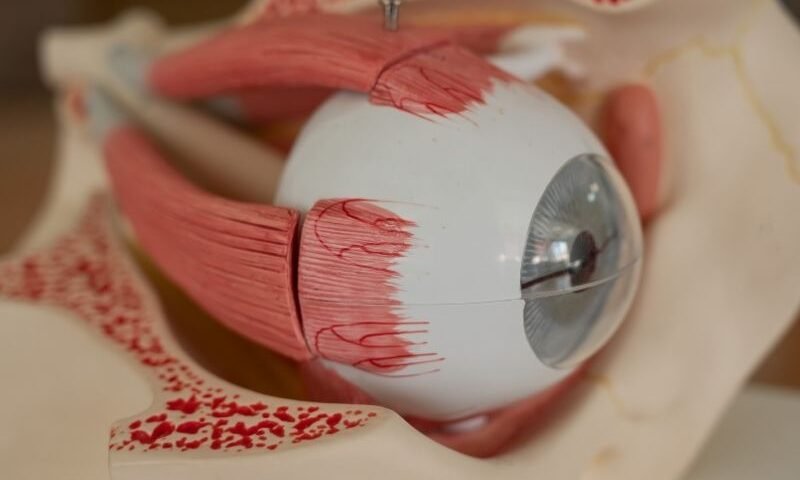 Recuperação Visual e Prognóstico O que esperar após a Cirurgia de Retina em Curitiba